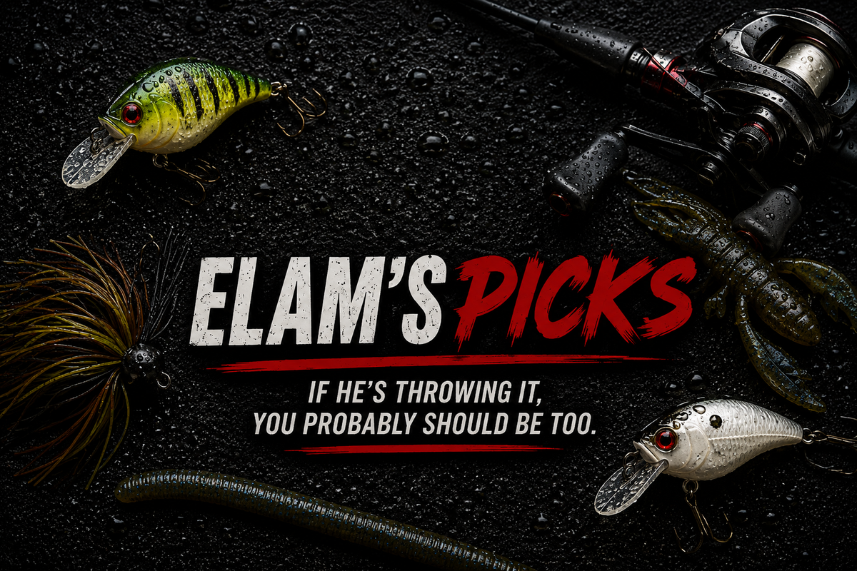 ELAM'S PICKS