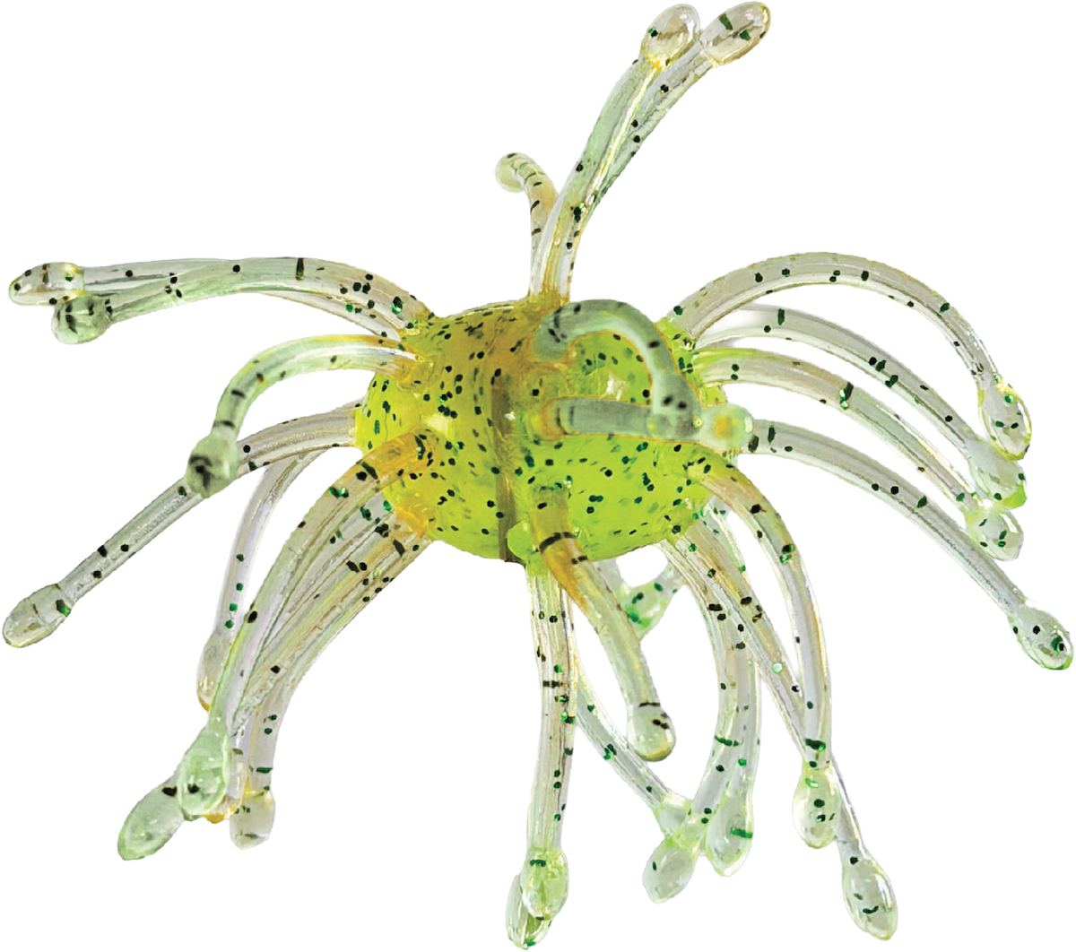 G-Ratt Webber – 16mm Urchin Bait (2-Pack)