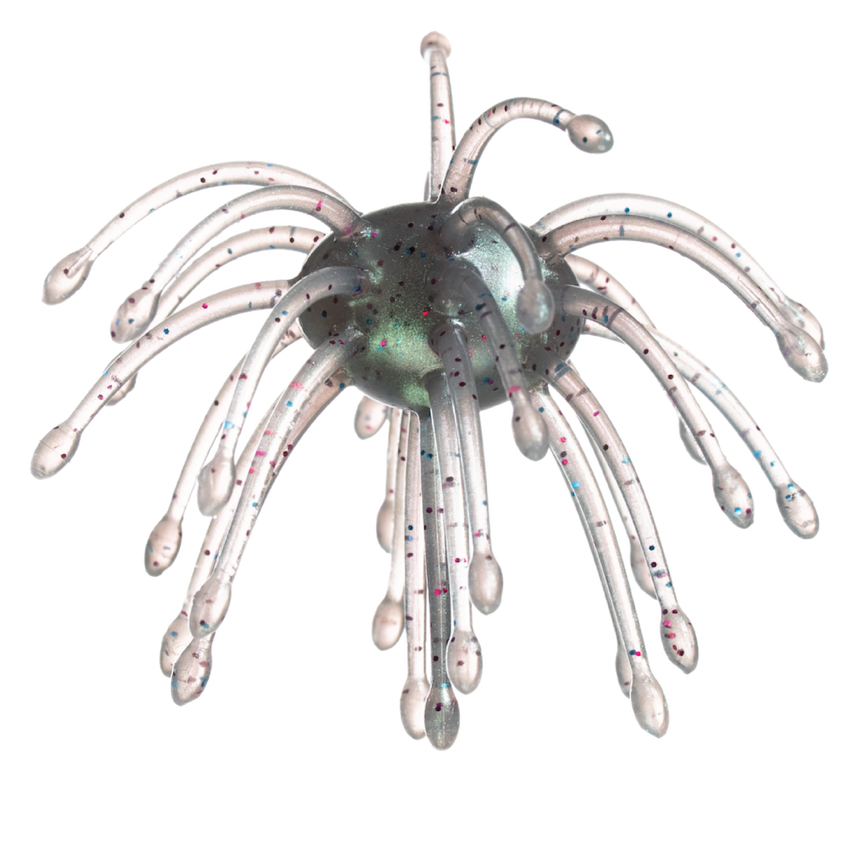 G-Ratt Webber – 16mm Urchin Bait (2-Pack)