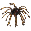 G-Ratt Webber – 16mm Urchin Bait (2-Pack)