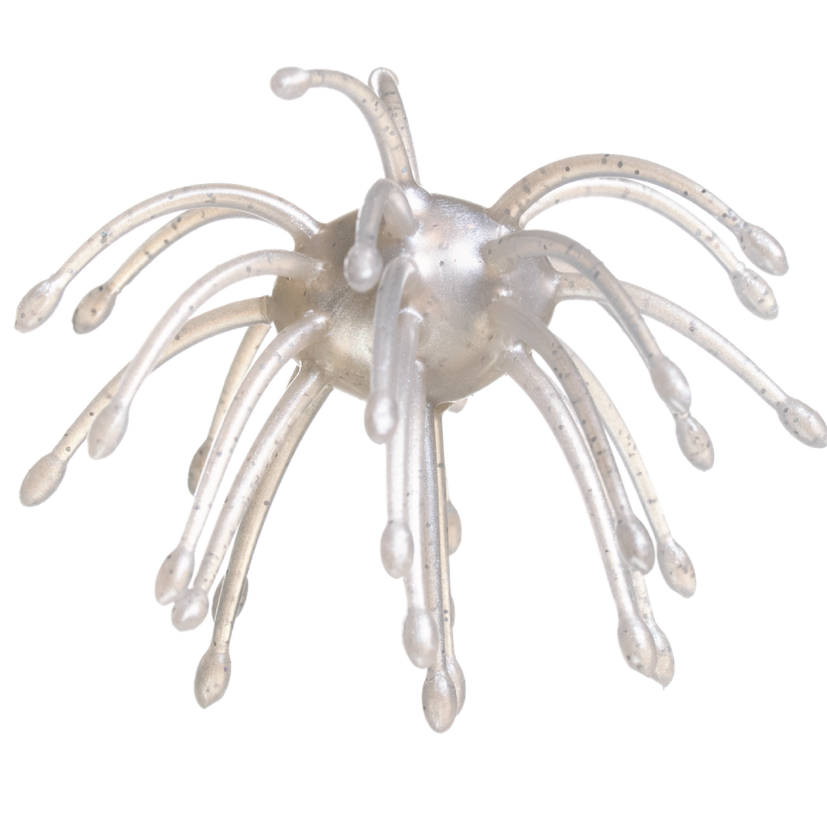 G-Ratt Webber – 16mm Urchin Bait (2-Pack)