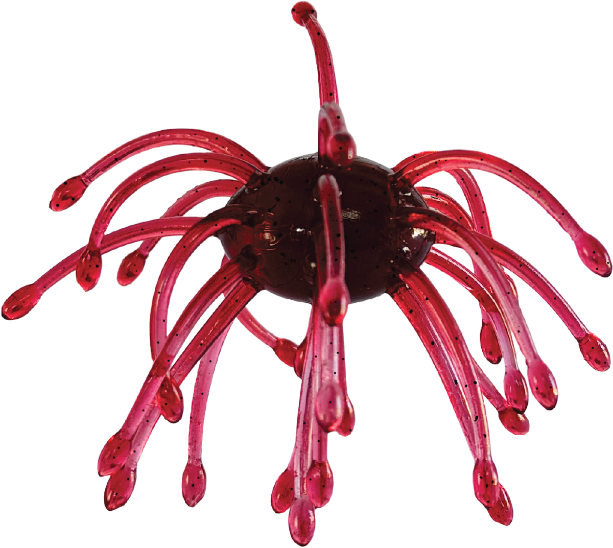 G-Ratt Webber – 16mm Urchin Bait (2-Pack)