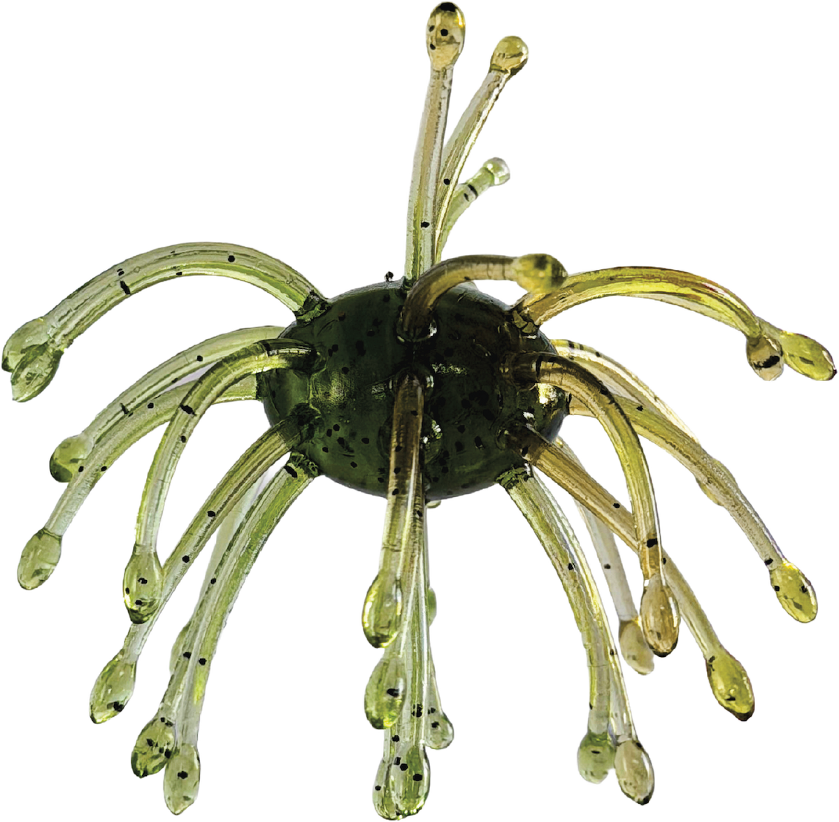 G-Ratt Webber – 16mm Urchin Bait (2-Pack)