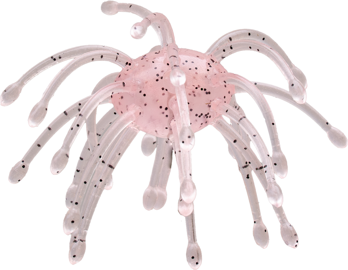 G-Ratt Webber – 16mm Urchin Bait (2-Pack)