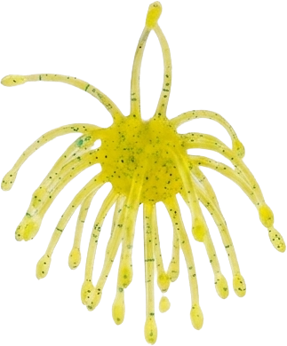 G-Ratt Webber – 16mm Urchin Bait (2-Pack)